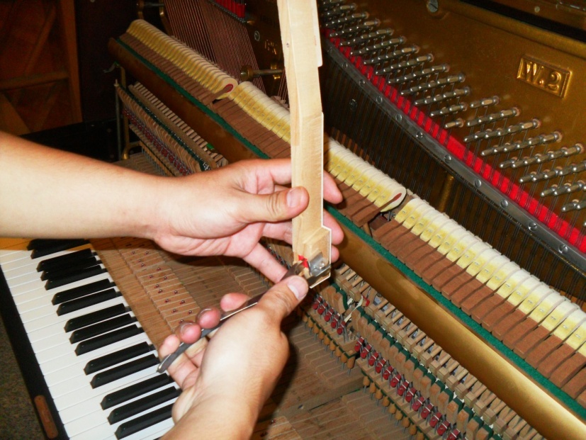 การถอดห้วค้อนในต้ว Action เพื่อทำการซ่อมแซม